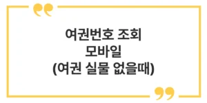 여권번호 조회 모바일