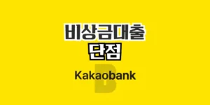 카카오 비상금대출 단점