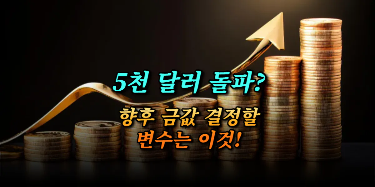 금값 전망 5천 달러 돌파 가능성과 향후 금 시장 핵심 변수 분석