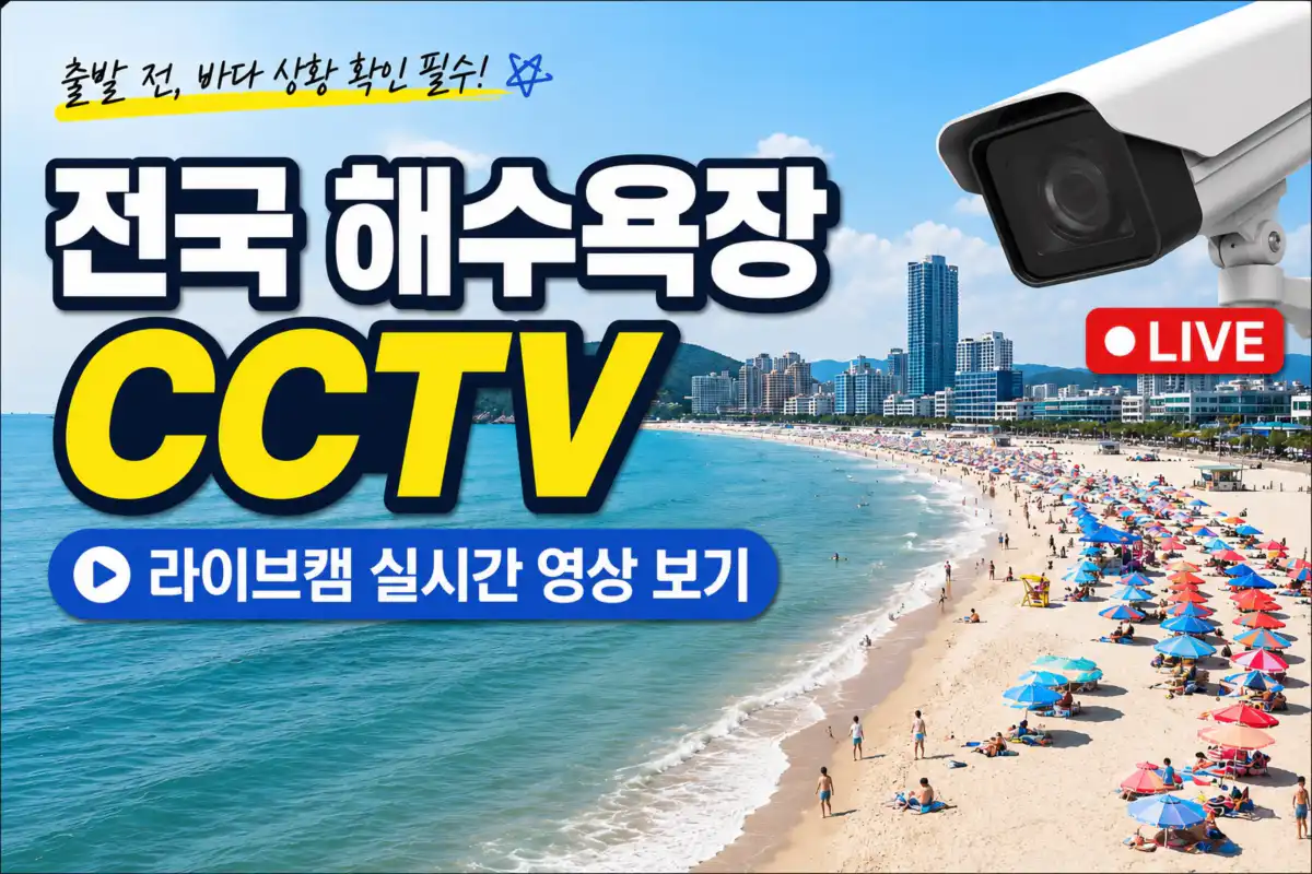전국 해수욕장 cctv 영상 보기