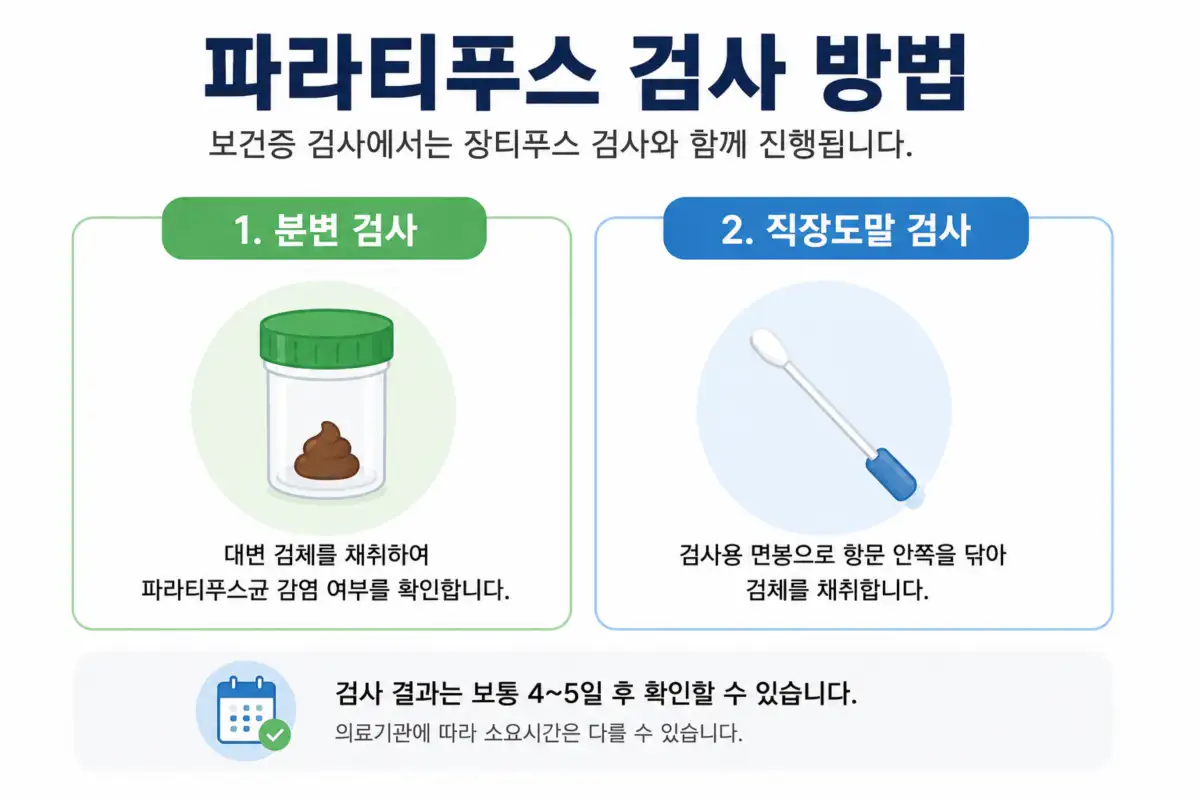 파라티푸스 검사 방법 분변 검사 직장도말 검사 결과 기간 안내 인포그래픽